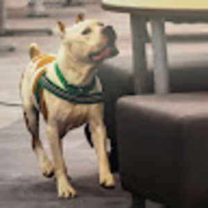 Meet your Posher, Heidi